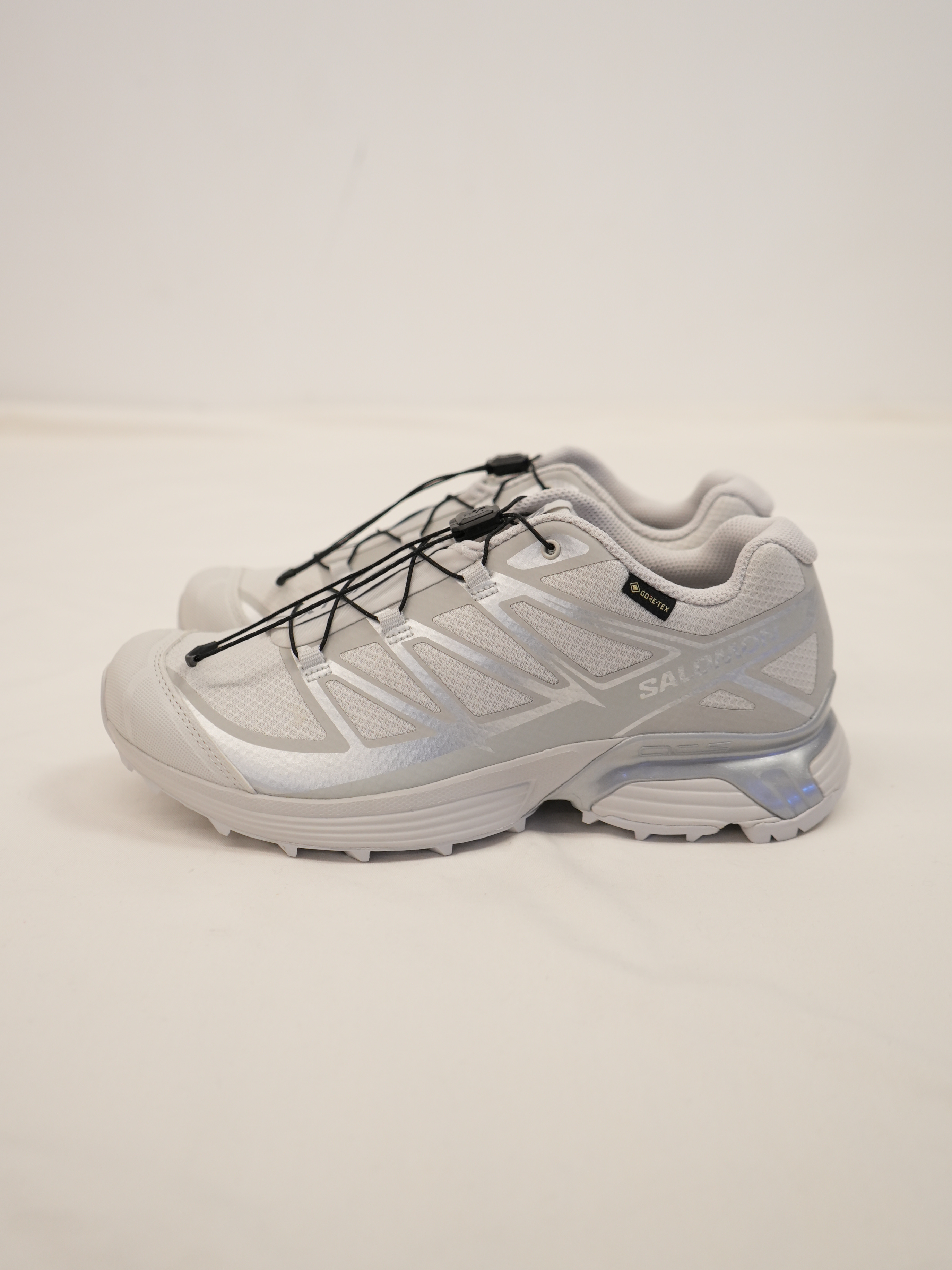 XT-PATHWAY GTX(LUNAR ROCK / ALLOY / FTW SILVER)