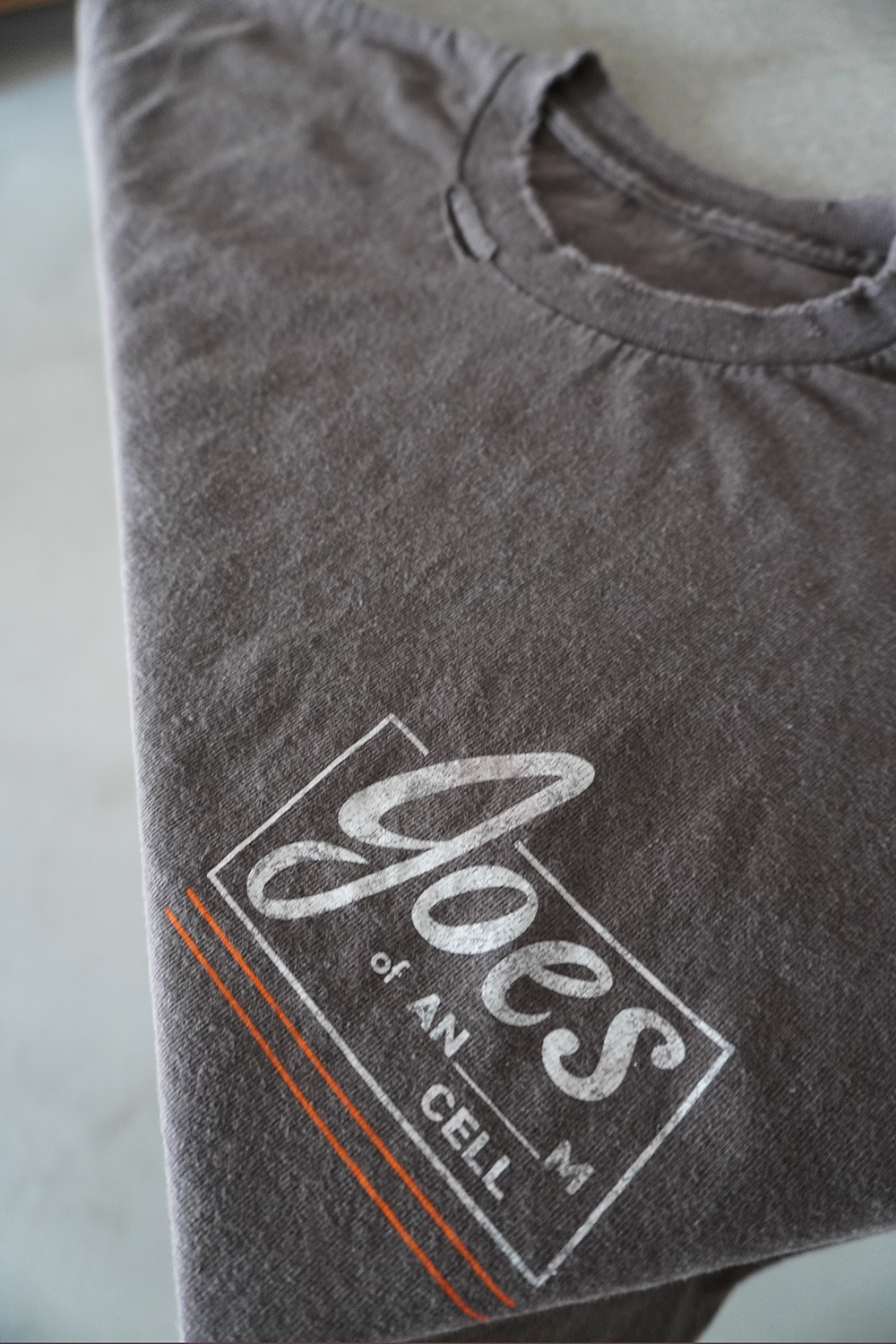 [ ANCELLM/exclusive ] GOES AGING LS T-SHIRT(BROWN)