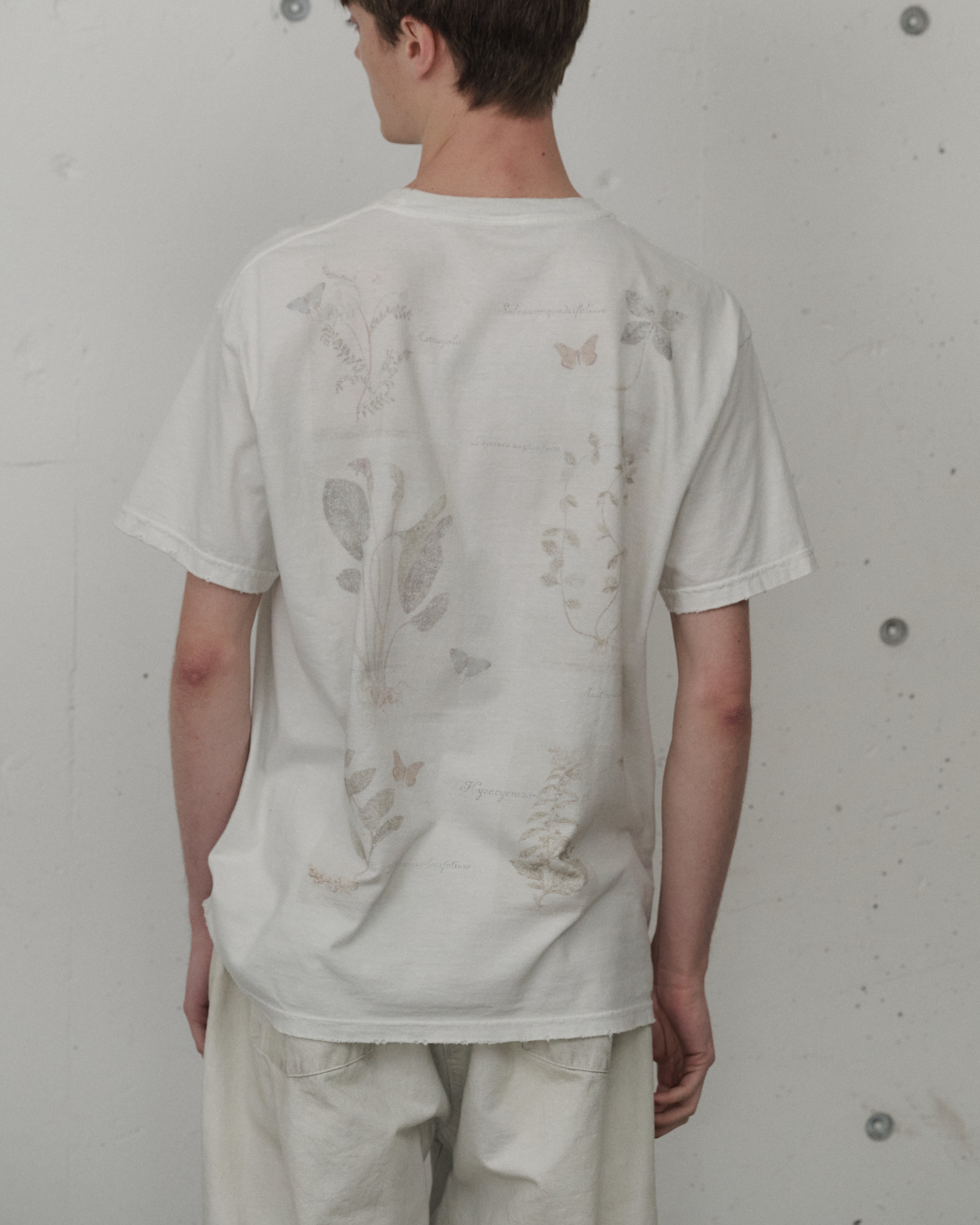 HERBARIUM SS(OFF)