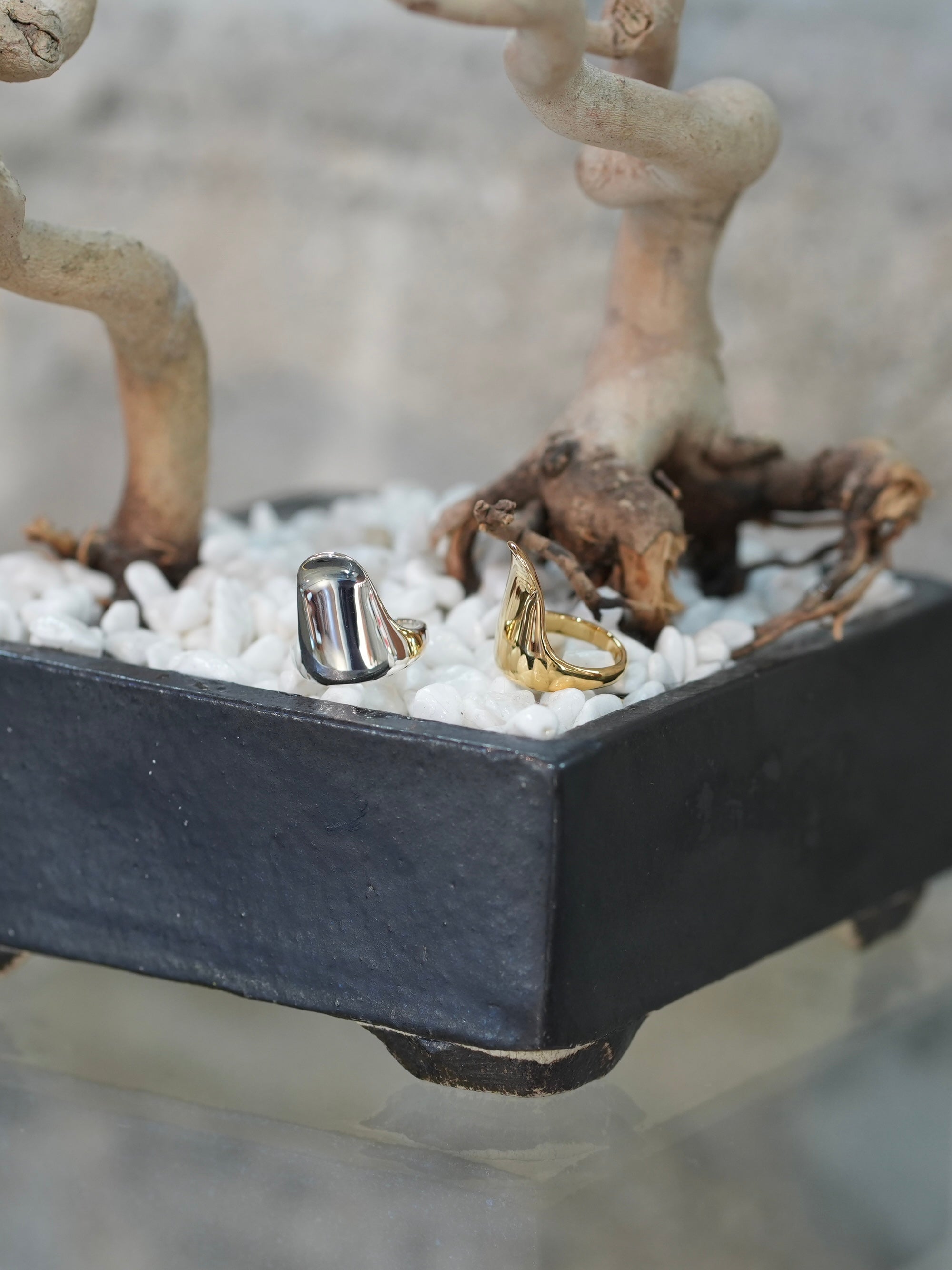 NAIL RING