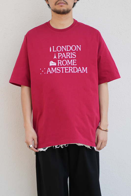 icons t-shirt(rio red)